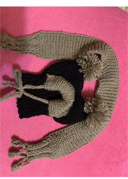 шапка и шарф для собаки