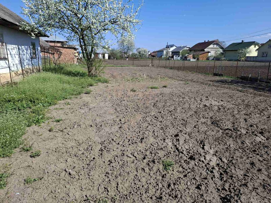 Продається домогосподарство с. Мамаївці Чернівецька обл.