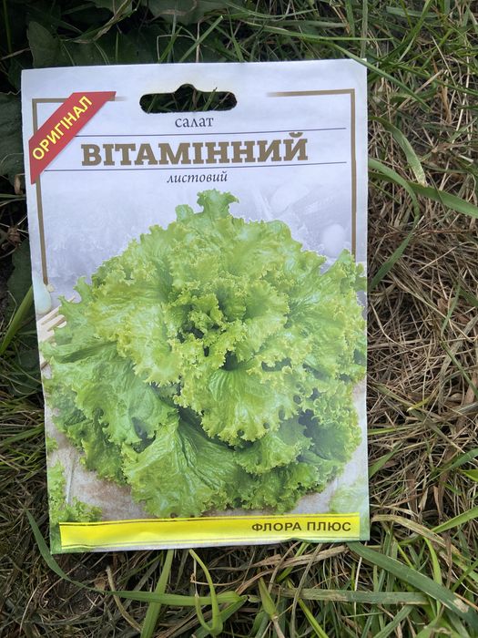 Петрушка Насіння