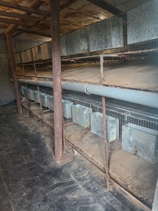 Клітки для кроликів