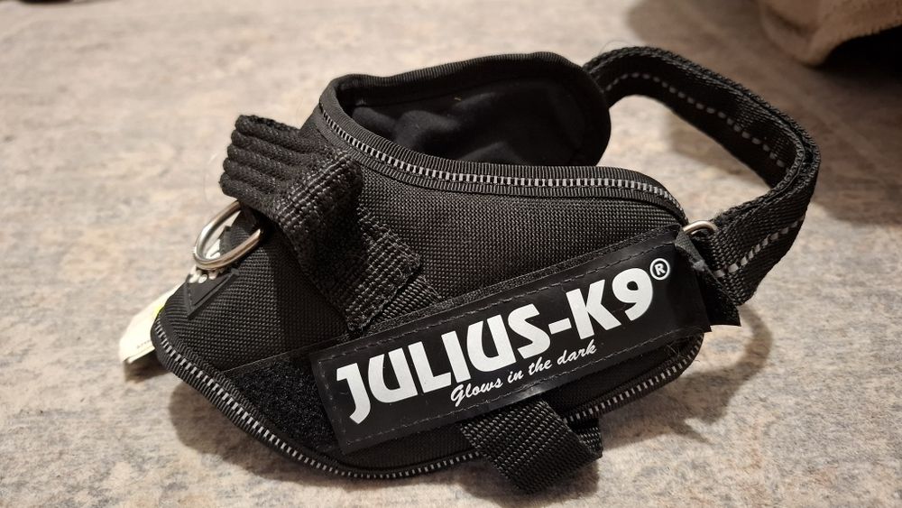 Szelki dla psa Julius-K9  Mini-Mini