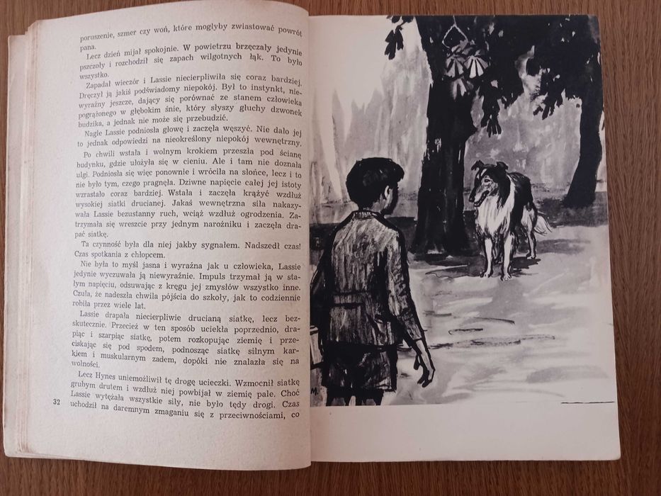 Książka " Lassie wróć" z 1960 roku