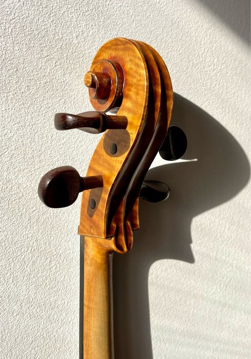 Violoncelo 4/4 Sielam Capriccio 2015