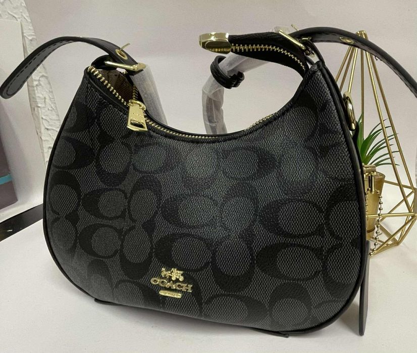 Mala coach entrego em mão