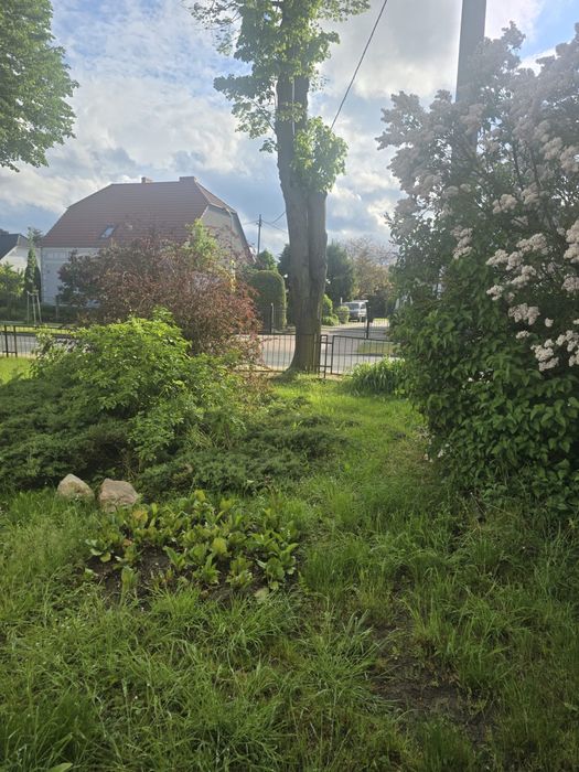 Mieszkanie 2 pokojowe Niepruszewo
