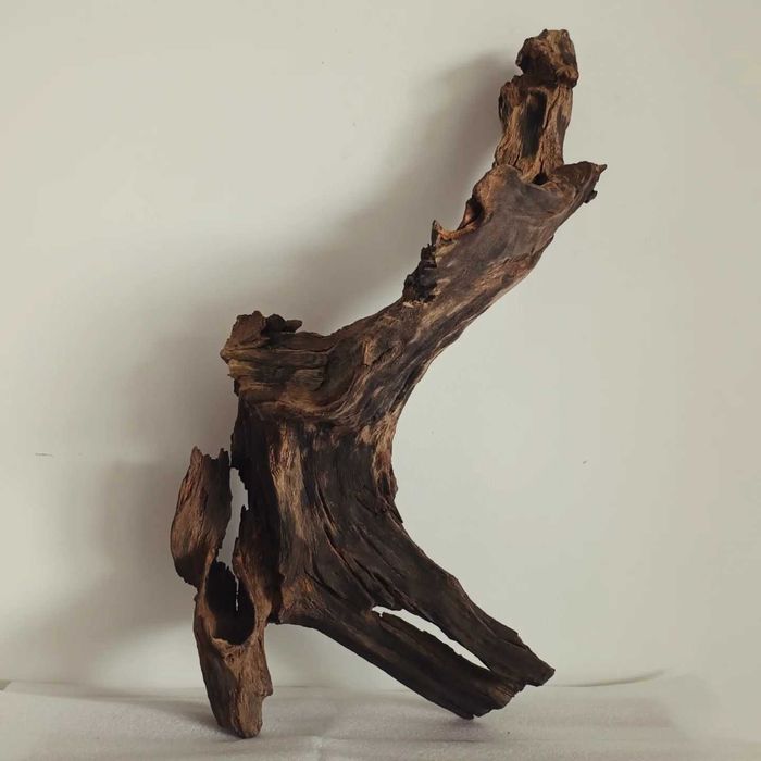 Корчі, коряги, декорації для акваріума/тераріума