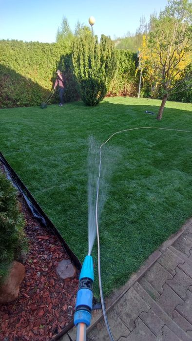 Trawa z rolki Barenbrug, Plantacja ok. Lublina, Trawa w rolce