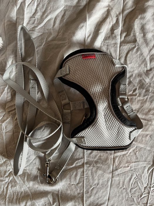 Продам  повідок для котика/собачки