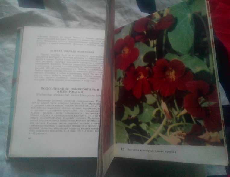 Книга  Цветы каталог издательство Реклама  Киев 1971 год