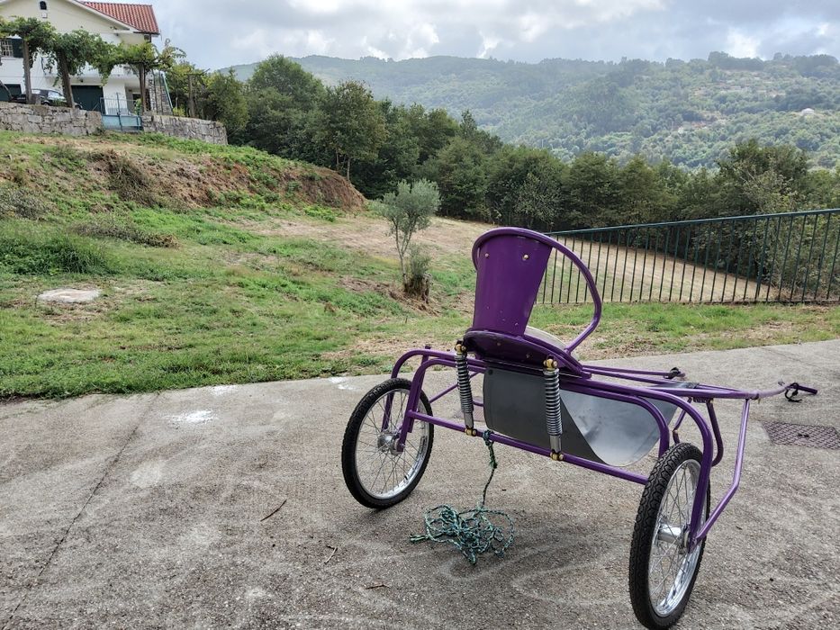 Charrete do tipo Sulky