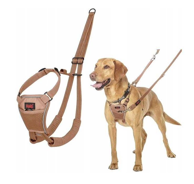 Uprząż HALTI No Pull Harness Dla Psa r.M