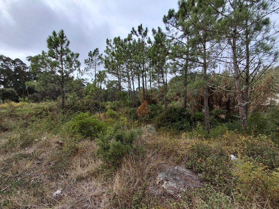 Terreno na Figueira da Foz