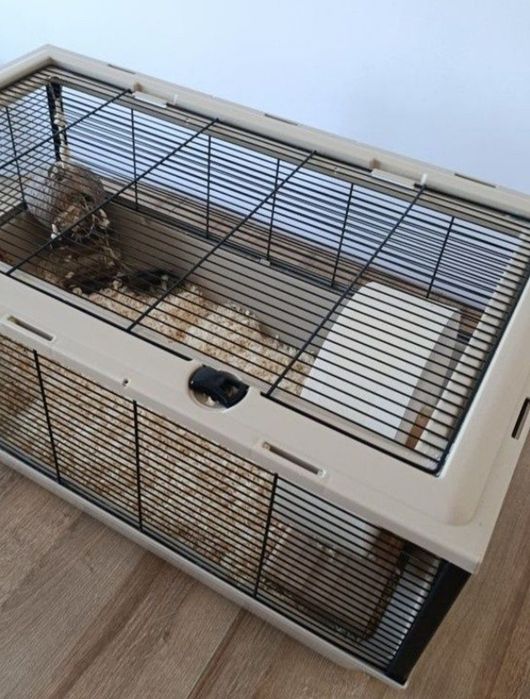 Klatka dla gryzoni chomików