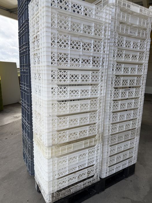 Caixas plastico 60 x 40