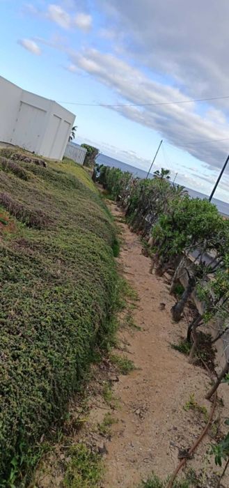 Bricolagem Porto Santo.
