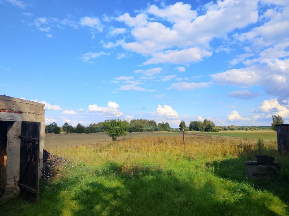 Dom – Grzegorzew - Widok 4