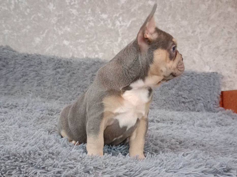 Розочка ждёт Вас