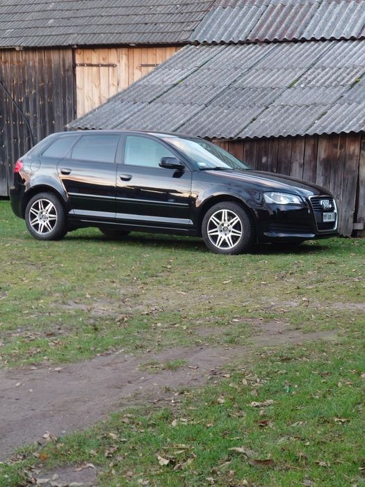 Audi A3 8P 2.0 TDI
