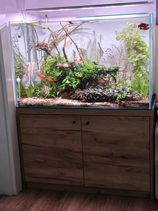 Zestaw akwariowy; akwarium FULL OPTIWHITE 80/45/50+szafka+lampa+filtr