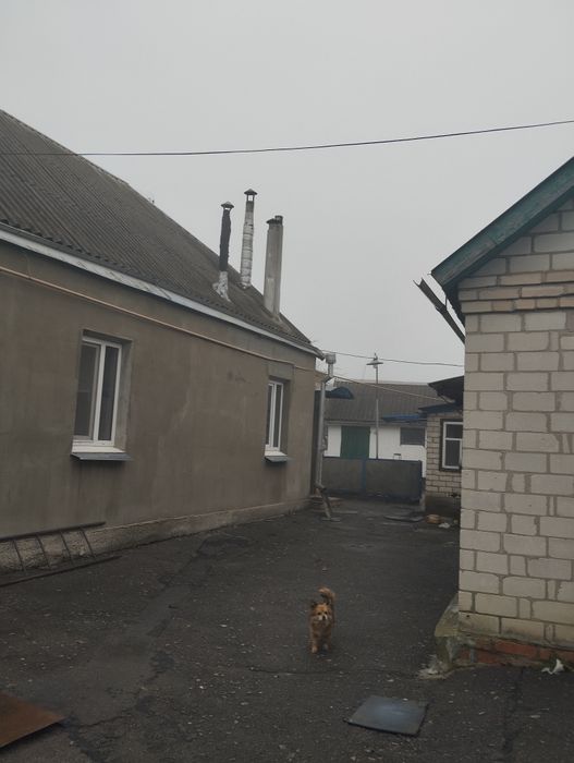 Продам будинок   Нововодолажский  районі