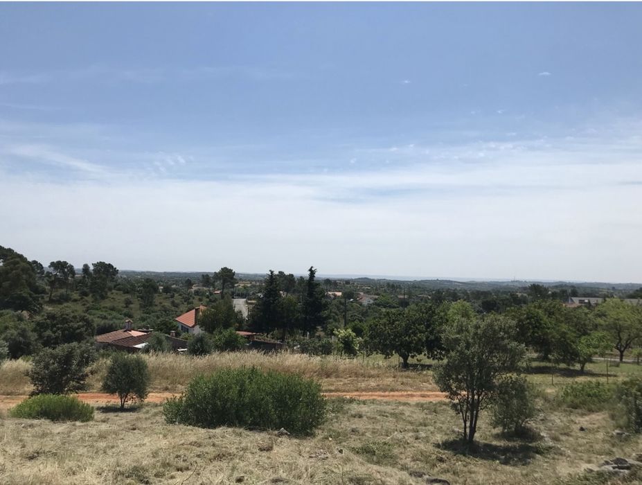 Terreno Rustico - Pedrogao - Serra de Aire e candeeiros