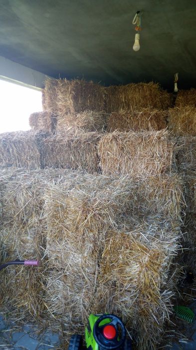 Słoma owsiana kostki