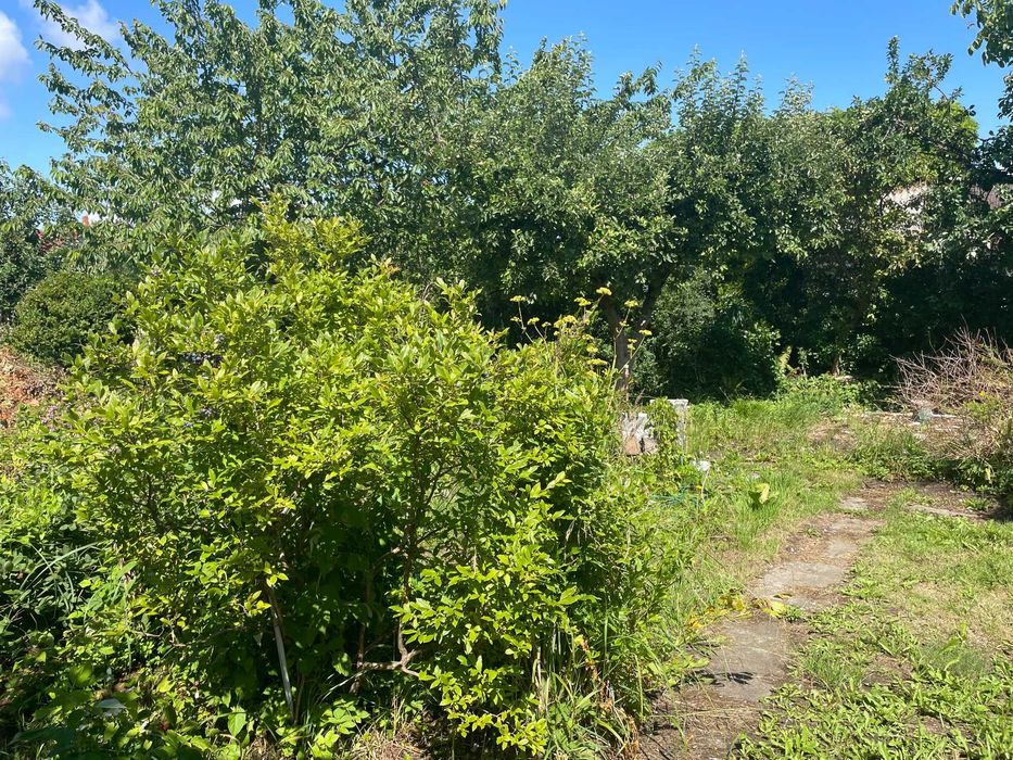 ROD działka Kołobrzeg (Janiska) - Widok 5