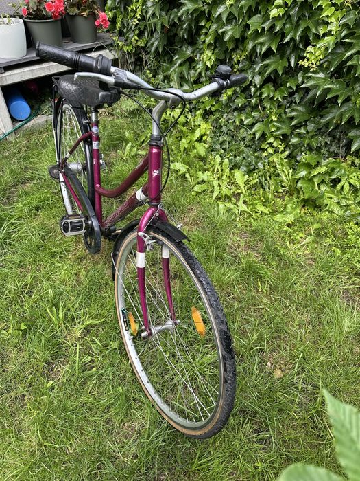 Rower miejski damski damka Pegasus avanti 28’