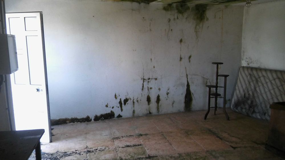 Casa em Aldeia - Oferta Design T3 de dois pisos e logradouro