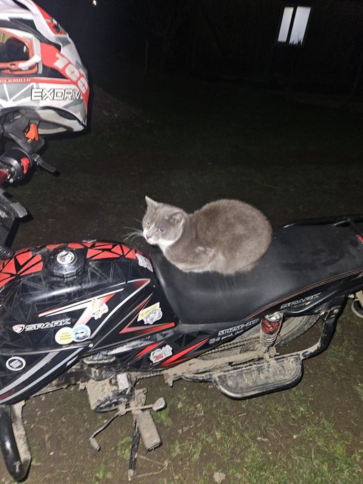 Продам Spark sp125c-2cd