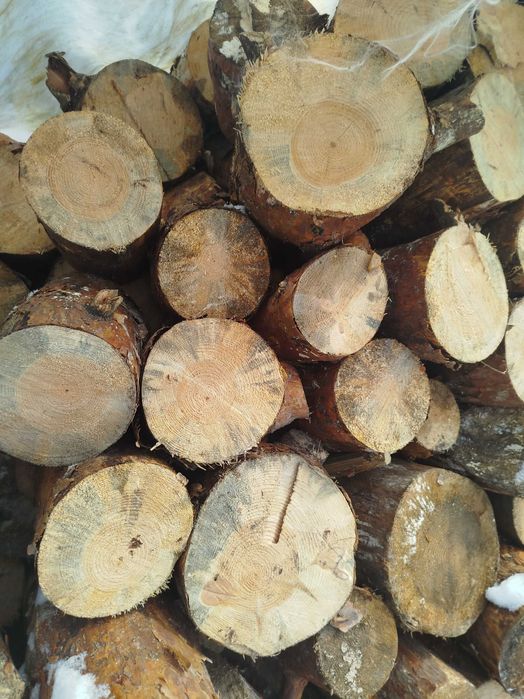 Sprzedam dżewo na opał