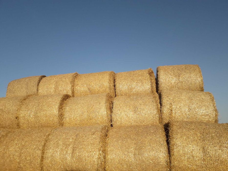 sprzedam SŁOMA w belach