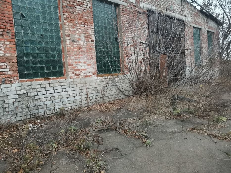 Нежитлове приміщення, картоплесховище, приватна власність