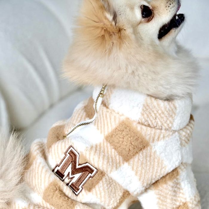 Одяг для собак м