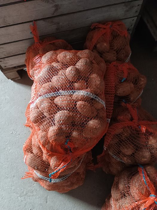 Sprzedam marchew ziemniaki cebule