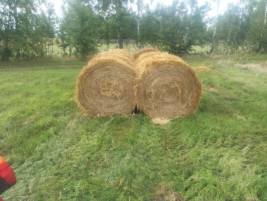 Słoma  owsianka 150+ sucha waga okolo 280-300 kg