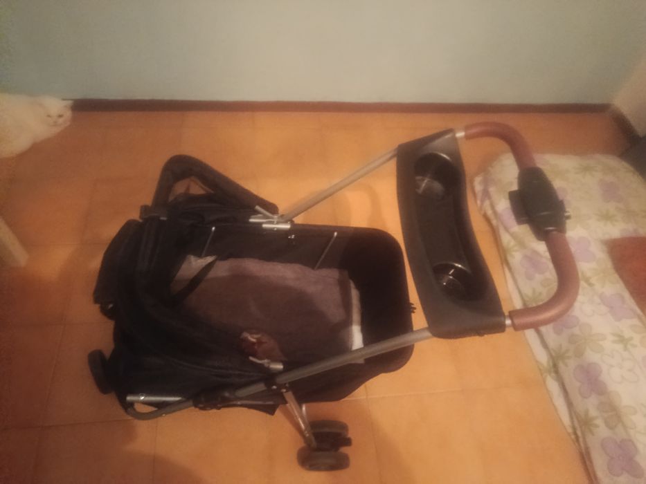 Carrinho de passeio de animais
