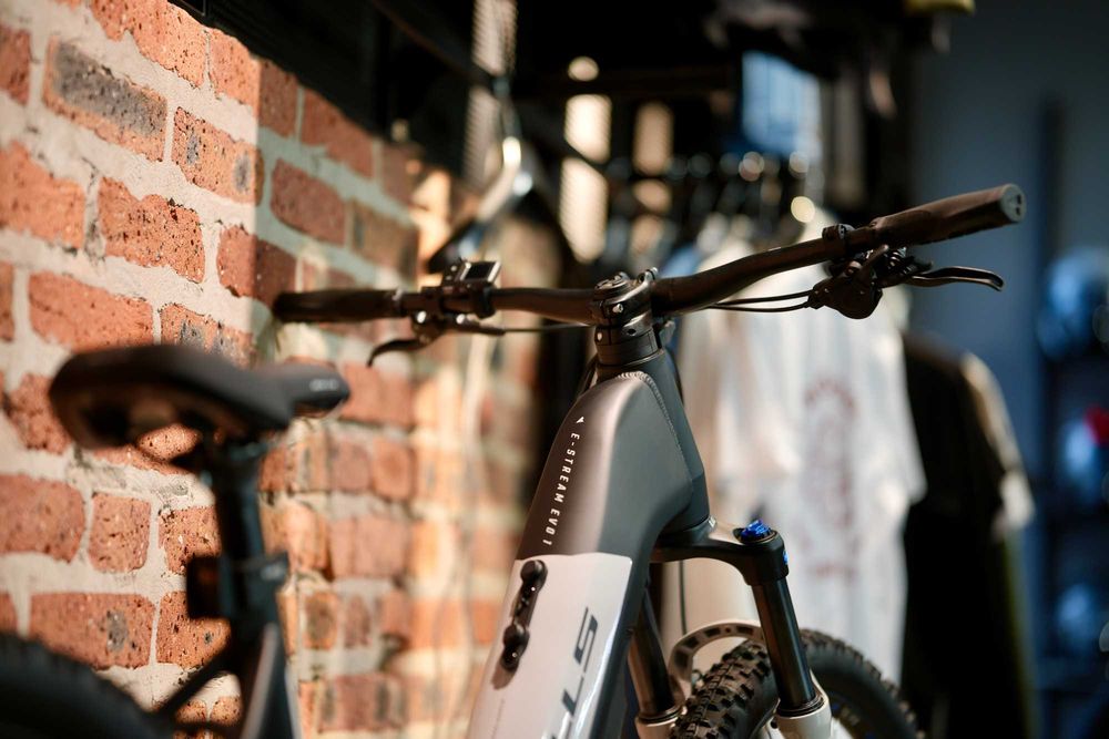 Rower Elektryczny Ebike Trekking BULLS E-Stream EVO 1 29"