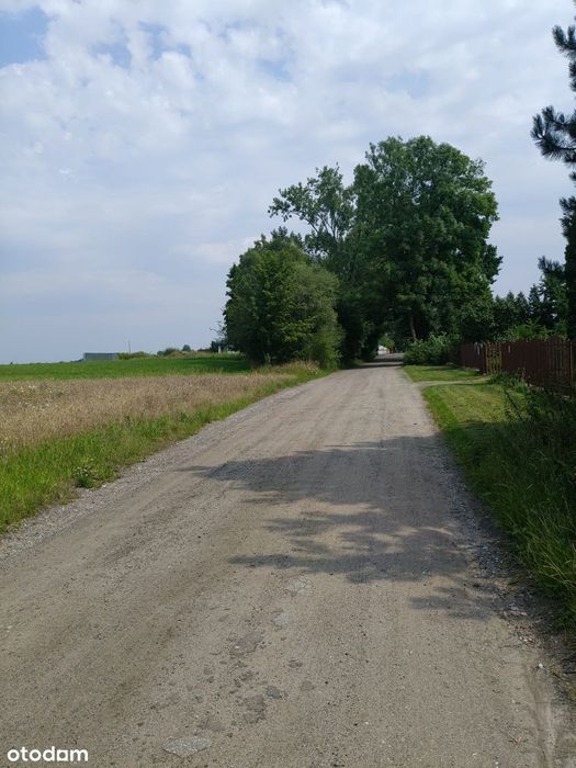 Zdjęcie 2