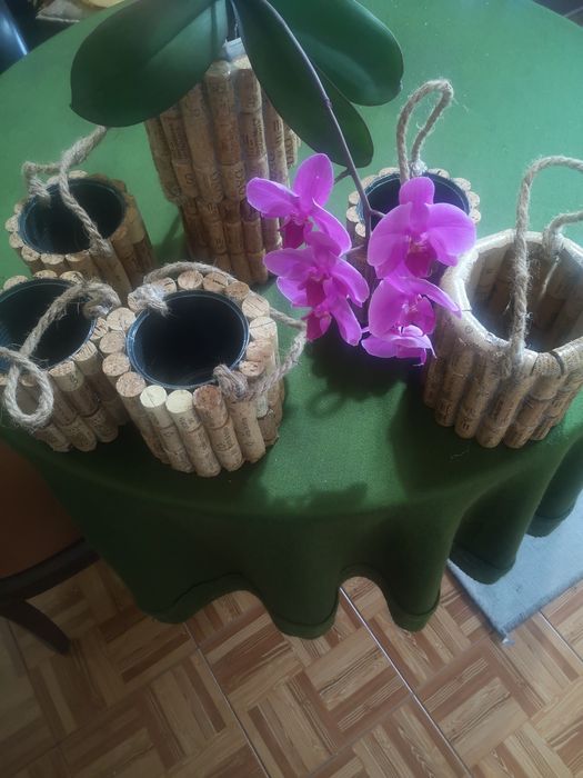 Vendo Sport para vasos artezenal