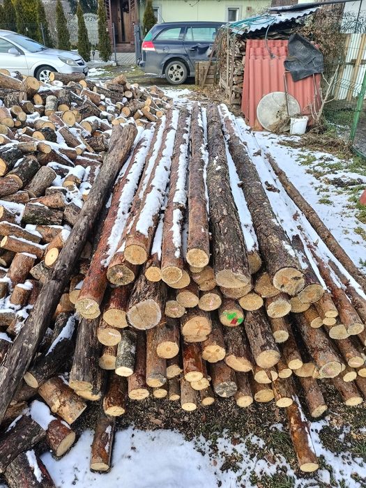 Stemple budowlane lub na ogrodzenie tymczasowe słupki dębowe