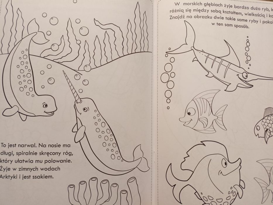 Kolorowanka w Oceanie