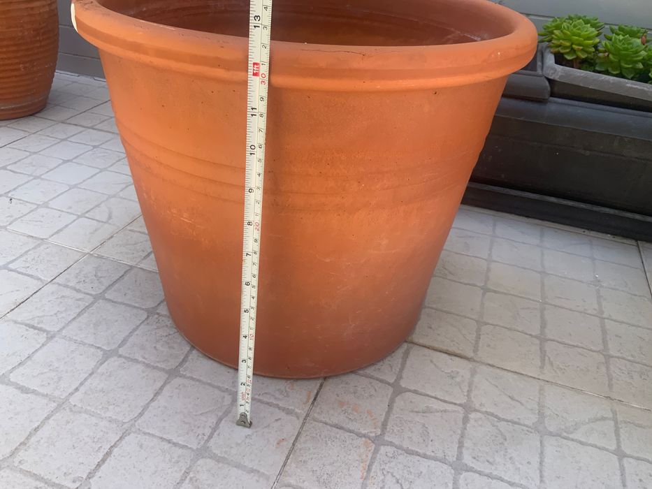 Vasos para plantas