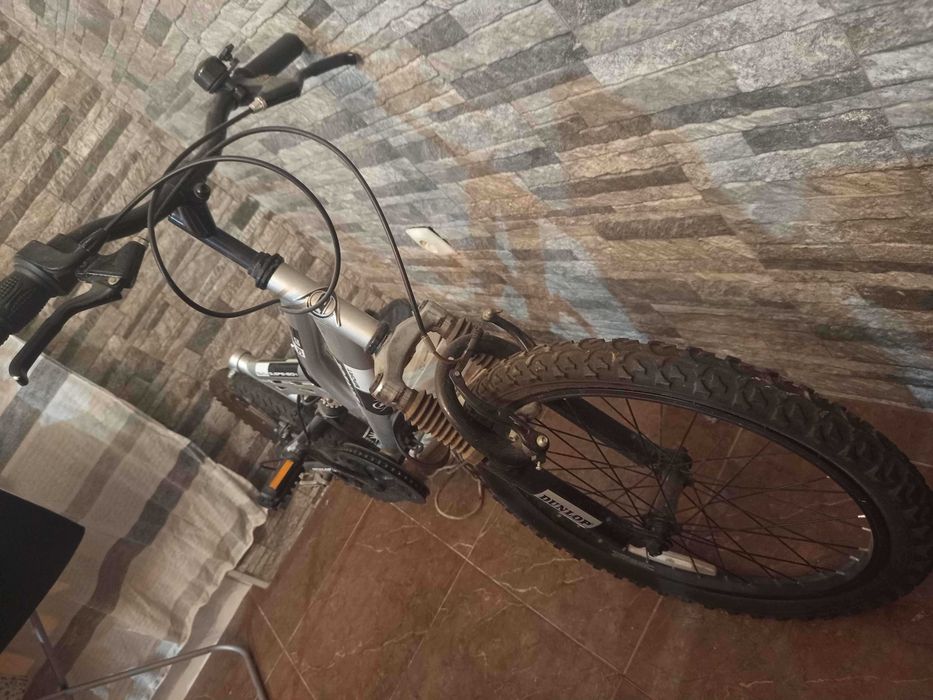 Bicicleta Criança Ds 20