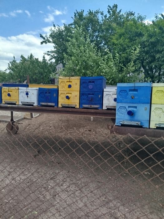 Продам вулики рута ППУ цільнолиті