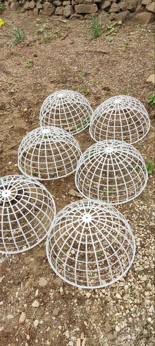 3 Esferas 50 cm galinhas