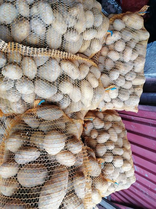 Ziemniak Worek 15 kilo prosto z gospodarstwa wysyłka paczkomat