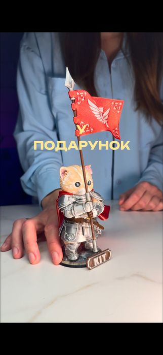 Котик-лицар/Knight cat + бонус для військових