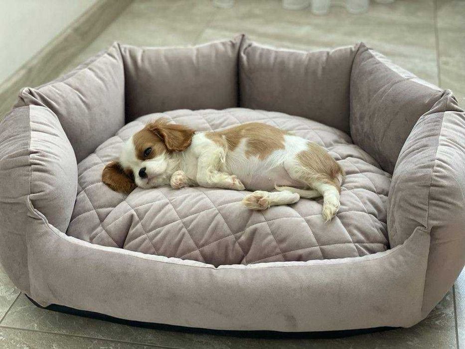 Лежак/спальне місце