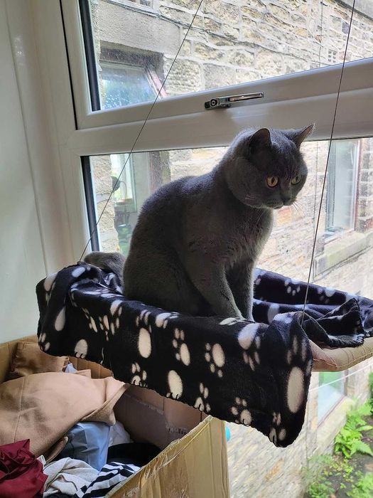 Hamak legowisko dla kota na okno + kocyk zestaw